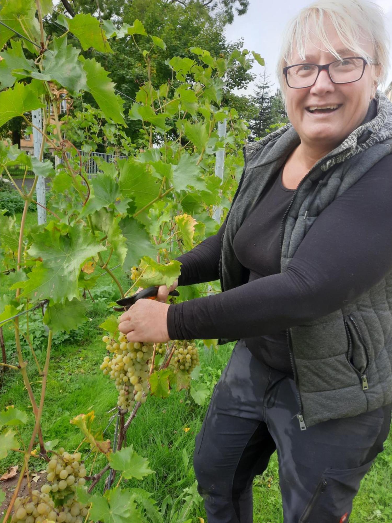 Ferienwohnung Weingut Lahmer August Kretzschau Екстериор снимка